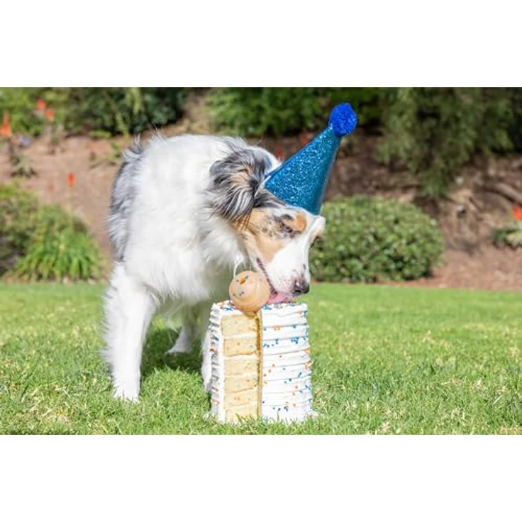 Chuckit! Geburtstags-Apportierball, Robuster Naturkautschukball für mittelgroße Hunde, Durchmesser 6,5 cm, ideal für Land- und Wasserspiele – Bild 3