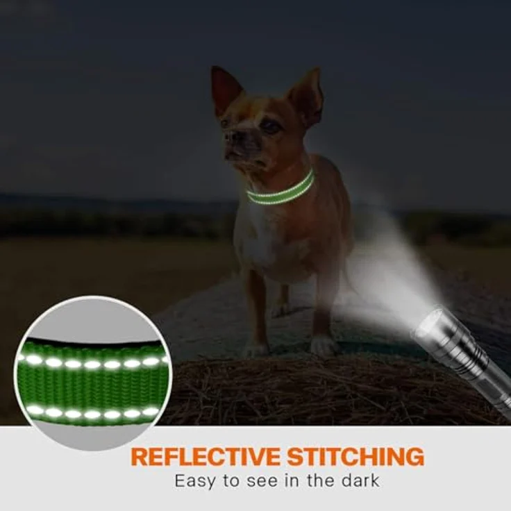 Taglory Hundehalsband, Weich Gepolstertes Neopren Nylon für Welpen, Verstellbar und Reflektierend, Grün – Bild 5