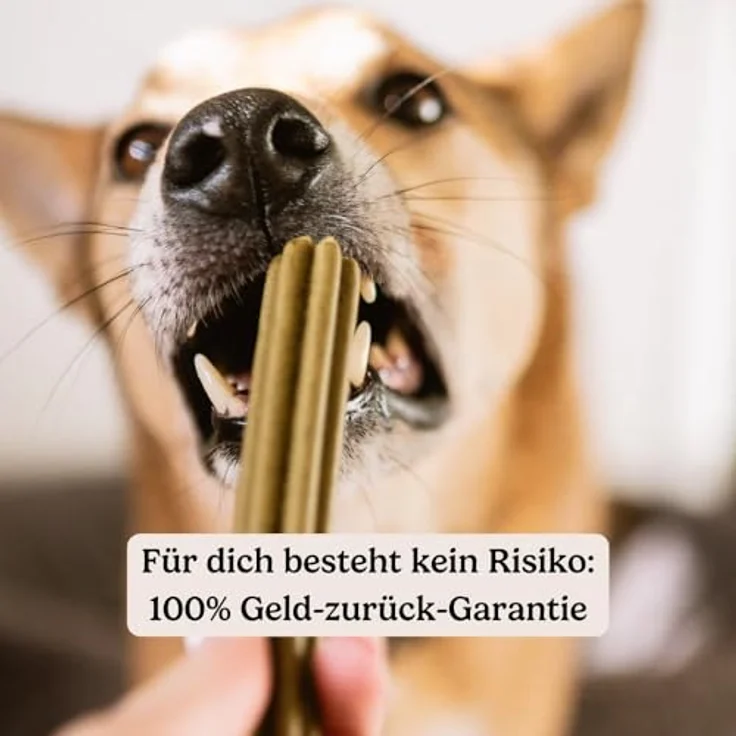 Hunderunde Dental Sticks Traumfänger, 42 STK, vegane Zahnpflege mit Baldrian, Lavendel & Passionsblume, getreidefrei und allergikerfreundlich – Bild 7