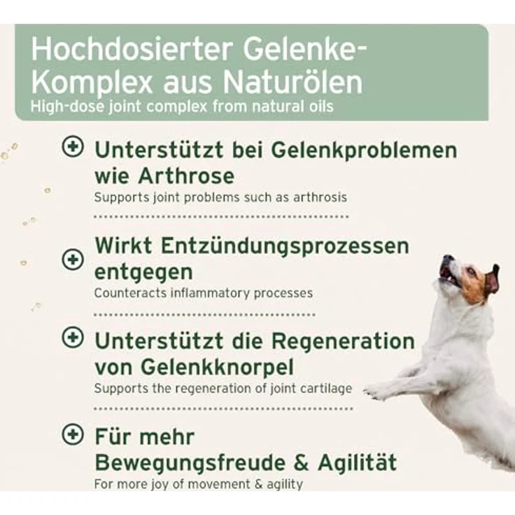 AniForte Arthro Omega Öl 250 ml, Diätergänzungsfuttermittel für Hunde mit hochwertigem Lachsöl und Omega-3-Fettsäuren zur Unterstützung der Gelenke und Knorpel – Bild 3