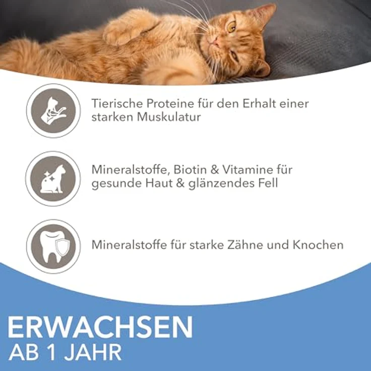 IAMS Delights Sea Collection Katzenfutter Nass, Multipack mit 4 Fischsorten (Lachs, Thunfisch, Makrele, Seefisch) in Sauce, 12 x 85g für Katzen ab 1 Jahr – Bild 5