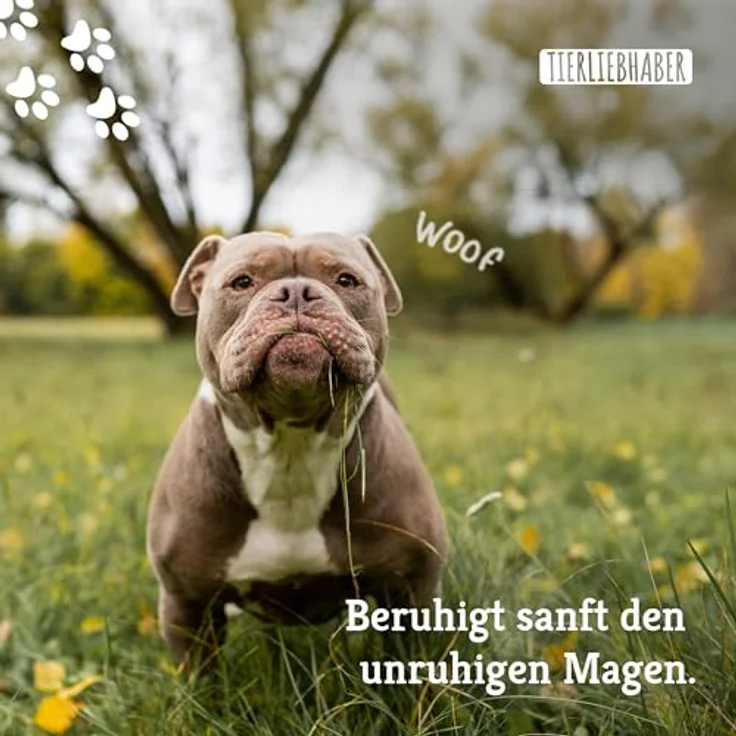 TIERLIEBHABER Gras & Kotfresser Drops für Hunde, beruhigend bei Gras- und Kotfressen, mit Heilerde und Fenchel, 350g (ca. 150 Stück) – Bild 5