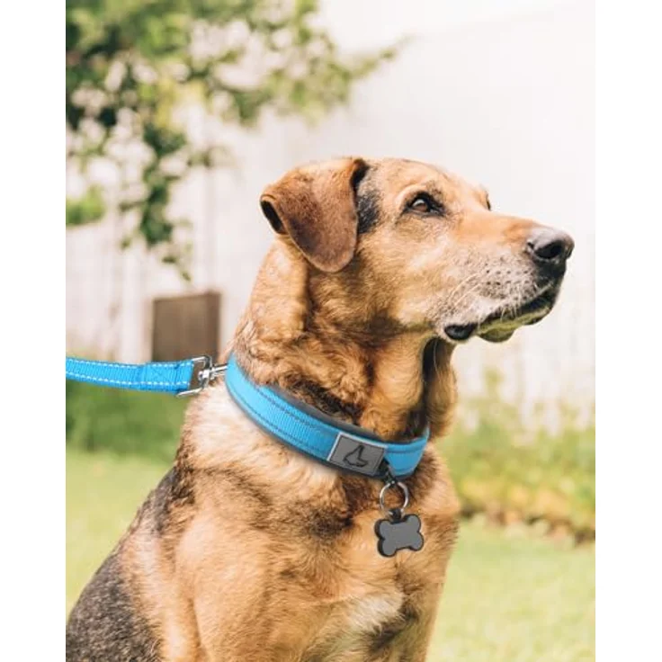 Joytale Hundehalsband, Gepolstert aus Neopren für Extra Große Hunde, Nylon Reflektierend, Baby Blau – Bild 3