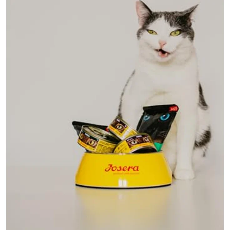 Josera Paté Kitten, Katzen-Nassfutter, 16x85g, vielfältige Geschmackssorten – Bild 7