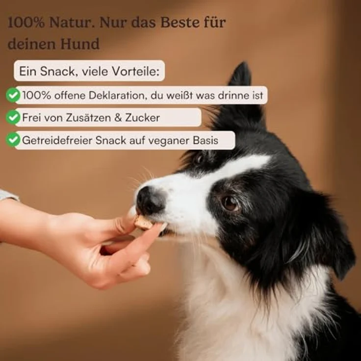 Hunderunde Seniorenschmaus Vorteilspack 6x100g – vegane Hundeleckerli für Senioren mit Kartoffel, Cranberry & Banane – leicht verdaulich, weich & getreidefrei – Bild 3