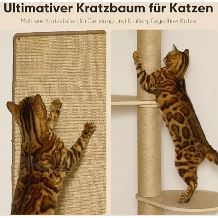 FUKUMARU Kletterwand Katzen-Set, 4 in 1 Wandmöbel mit Hängematte, Kratzbaum, Wandregalen und Sisalmatte – Platzsparend, Beige – Bild 5