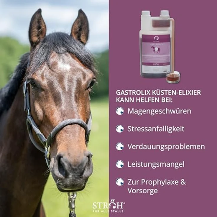 STRÖH GASTROLIX (1l), Kräutermischung zur Stabilisierung des Magen-Darm-Trakts für Pferde, zuckerfrei, natürlicher Magenschutz für empfindlichen Magen – Bild 3