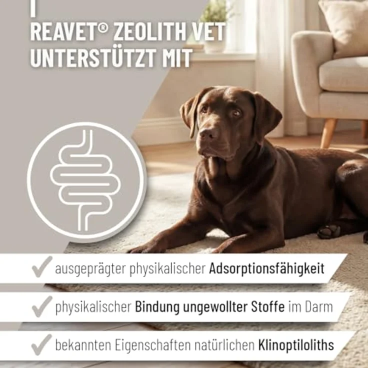 REAVET Zeolith VET 700g, mineralische Ergänzung für Hunde, Katzen & Pferde, unterstützt die Verdauung, 94% Klinoptilolith, geruchs- & geschmacksneutral, fein vermahlen – Bild 2