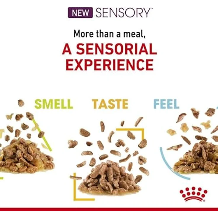 Royal Canin Sensory Taste in Soße, Katzen-Nassfutter mit Huhngeschmack und Röstaromen, 12 x 85 g – Bild 9