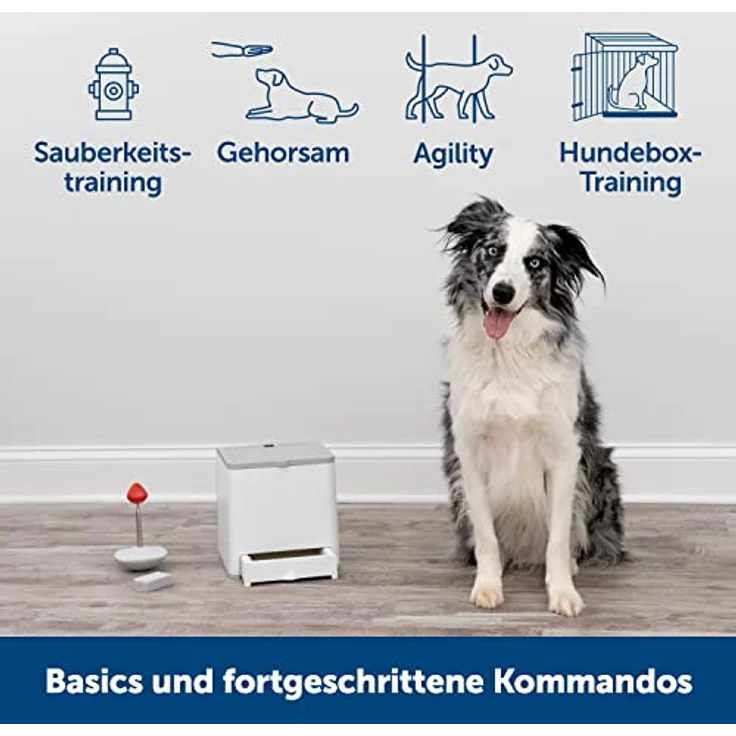 PetSafe Teach und Treat, Ferngesteuerter Belohnungstrainer für Hunde mit positiver Verstärkung, Reichweite bis 27,5 m, Grau – Bild 2