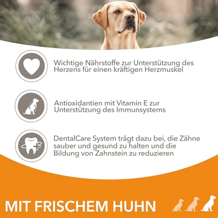 IAMS Senior Hundefutter trocken mit Huhn, Trockenfutter für große Hunde ab 7 Jahren, 3 kg, hochwertiges Protein, weizenfrei, für gesunde Gelenke und Hautpflege – Bild 4