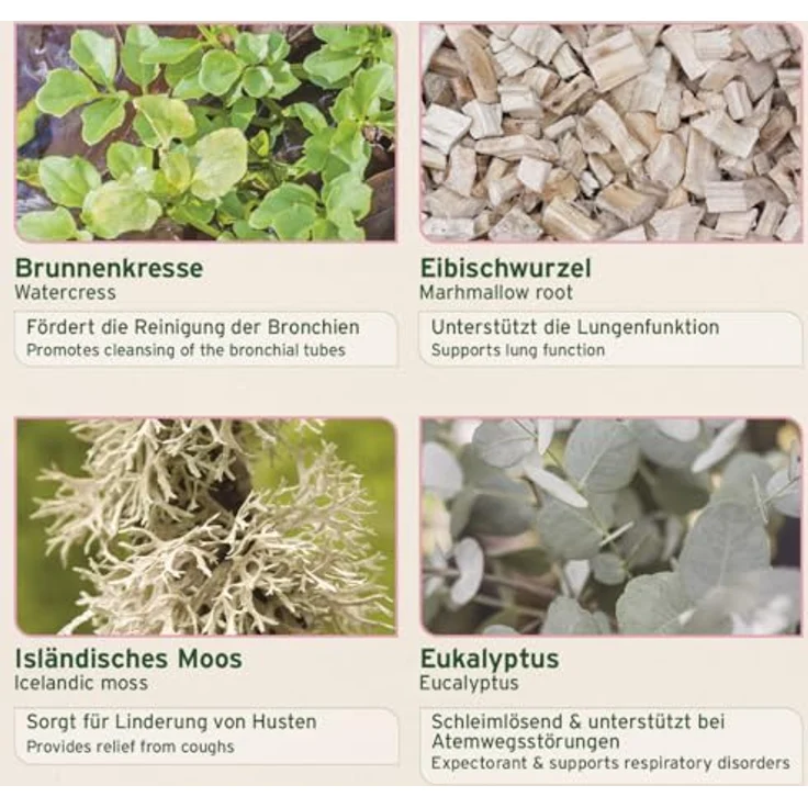 AniForte Bronchial Kräuter, 1 kg zur Unterstützung der Atemwege für Pferde, frei von Zusatzstoffen – Bild 4