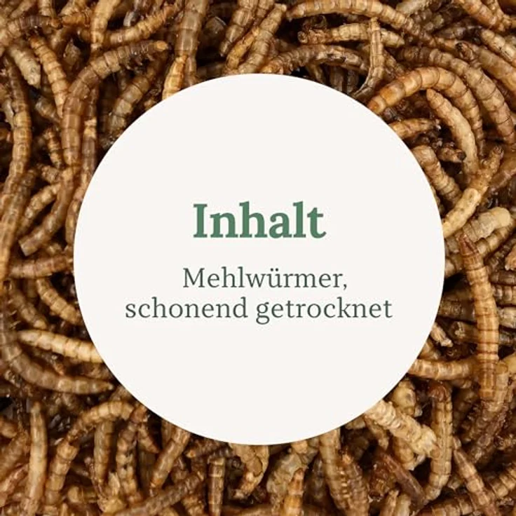 Orni Mehlwürmer getrocknet 500g, Premium Insektenfutter für Wildvögel, Igel, Fische & Eichhörnchen, 100% naturbelassen, ohne Zusatzstoffe – Bild 4
