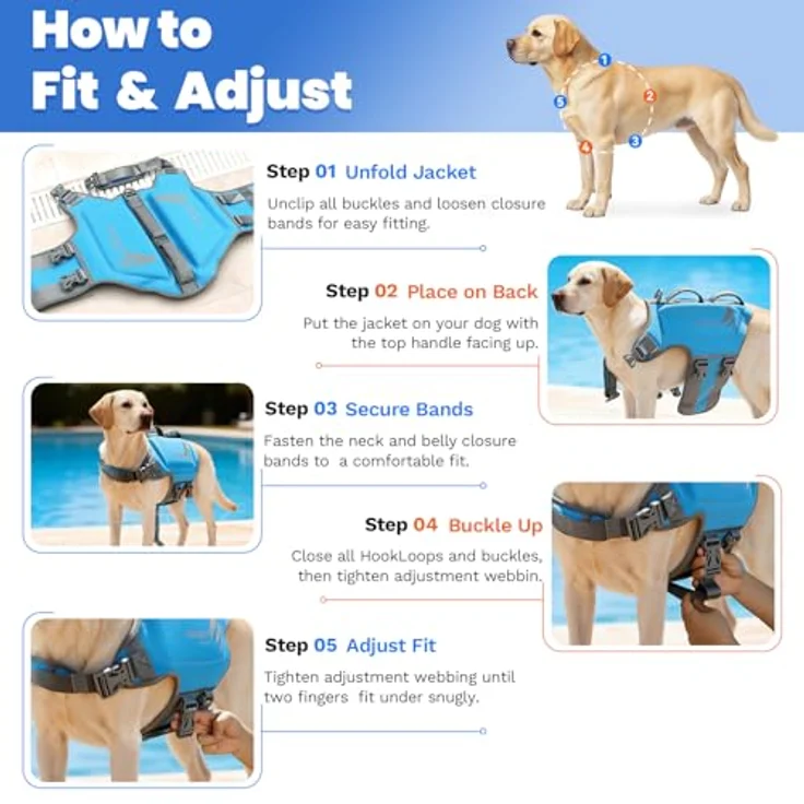 VIVAGLORY Hunde Schwimmweste High Buoyancy, Sicherheitsweste für kleine Hunde, verstellbare Riemen, Neopren, S, Orange – Bild 5