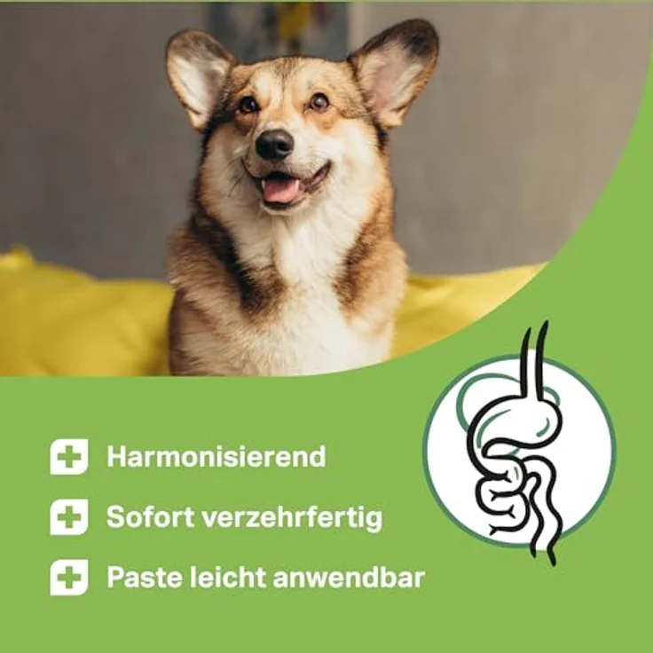 MEDIDOG 500g Premium Ulmenrinden-Paste für Hunde, ohne Zusatzstoffe, unterstützt gesunde Verdauung und normale Kotkonsistenz – Bild 3
