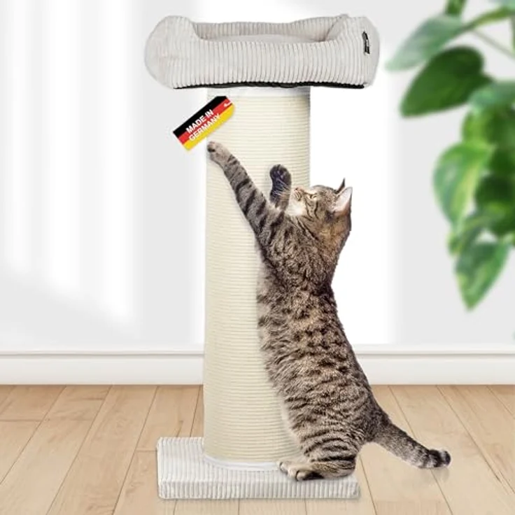 Rohrschneider Kratzbaum XXL Frieda – Kratztonne mit tauschbaren Kratzmatten, stabiler breiter Säule, waschbarem Cord-Bezug in beige für große, mittlere und kleine Katzen – Bild 1