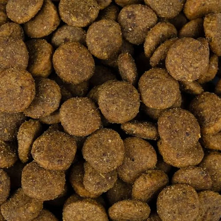 Christopherus Vegetarian - Hundefutter mit Erbse, Tapioka und Kürbis, 4kg - Schmackhafte, fleischfreie Vollnahrung für ausgewachsene Hunde, CO2-reduzierend
