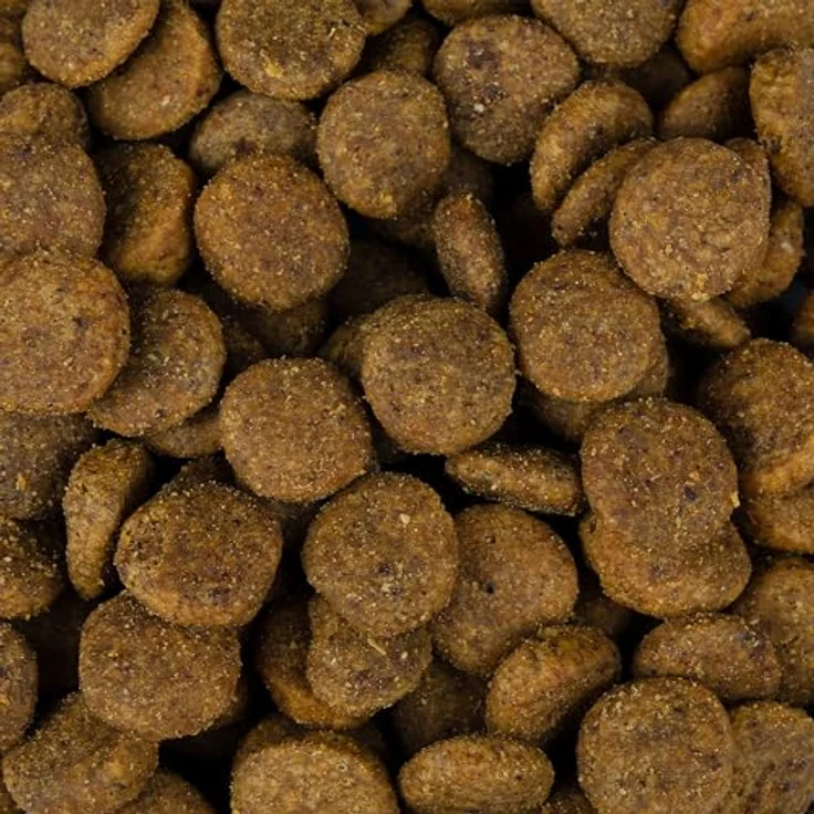 Christopherus Vegetarian - Hundefutter mit Erbse, Tapioka und Kürbis, 8kg, vegetarisch und umweltfreundlich – Bild 2