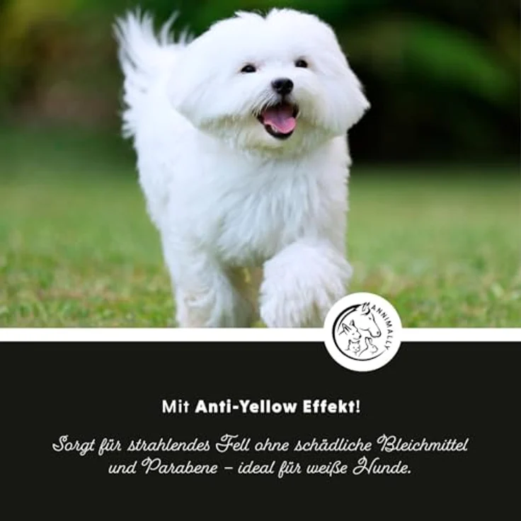 Annimally White Plus Leave-In Spray, Natürliche Kämmhilfe & Glanzspray mit Anti-Gelb Effekt, ph-neutrales Kämmspray für weiße Hunde, 500 ml – Bild 3