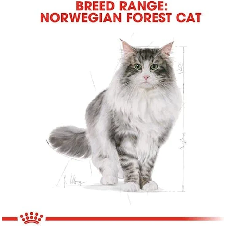 ROYAL CANIN Norwegian Forest Cat Adult, 3er Pack, 3 x 400 g, Alleinfuttermittel für Norwegische Waldkatzen ab 12 Monaten, Haut- und Fellschutz, haareballenreduzierend – Bild 4