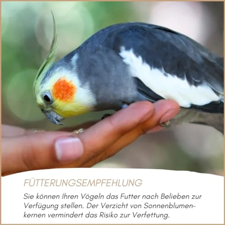 Supravit Vogelfutter Großsittiche Spezial 2,5kg - leicht bekömmliches Alleinfutter ohne Sonnenblumenkerne, reich an Vitaminen und Mineralien, für Ziervögel & Papageien – Bild 5