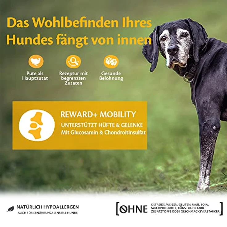 Wellness CORE Reward+ Pute, 170 g, getreidefreie Hundeleckerli mit hohem Fleischanteil, ohne Zuckerzusatz, fördert Mobilität & Gelenkgesundheit – Bild 3