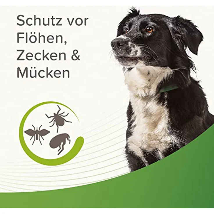 BEAPHAR Zecken- und Flohschutz Halsband für Hunde ab 12 Wochen, Repellent, 4 Monate Schutz, verstellbar, regenfest, Bandlänge 65 cm, dunkelgrün – Bild 3