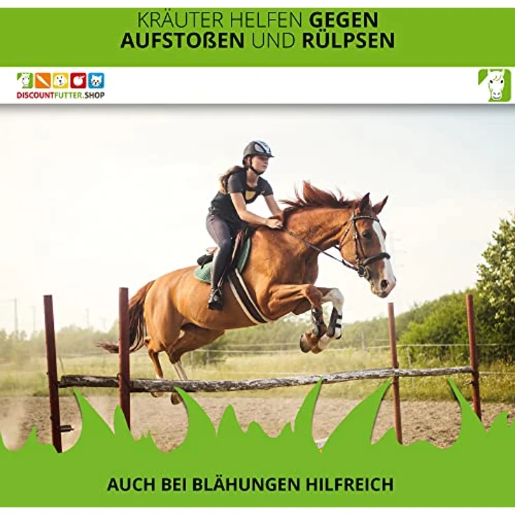 ESTELLA Bronchialsaft für Pferde 1 L, Kräuterextrakt mit Fenchel, Holunder- & Lindenblüte, Hibiskus | Unterstützung bei Husten und verschleimten Atemwegen – Bild 5