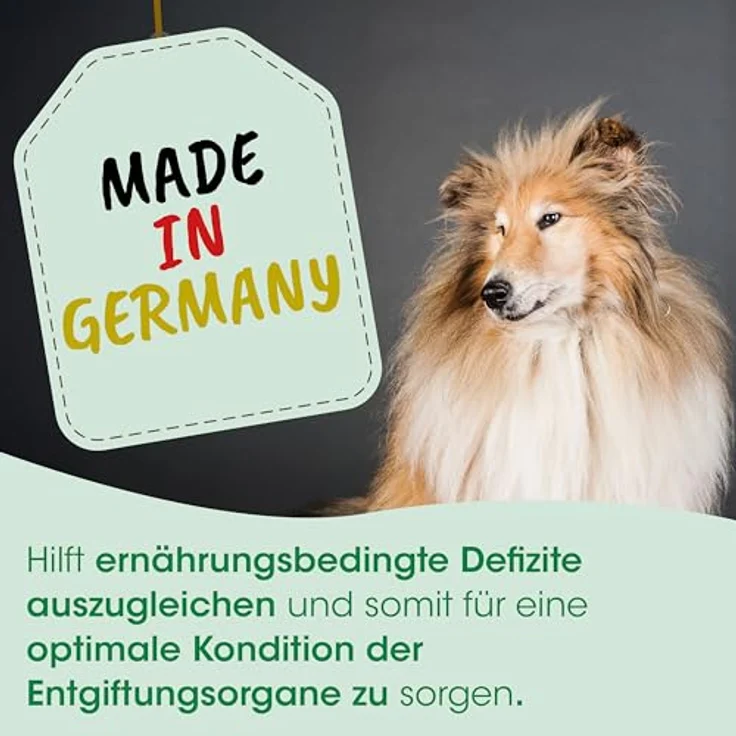 cdVet Fell & Haut Vital, Ergänzungsfuttermittel für Hunde und Katzen zur Unterstützung bei Fell- und Hautproblemen, 750 g – Bild 5