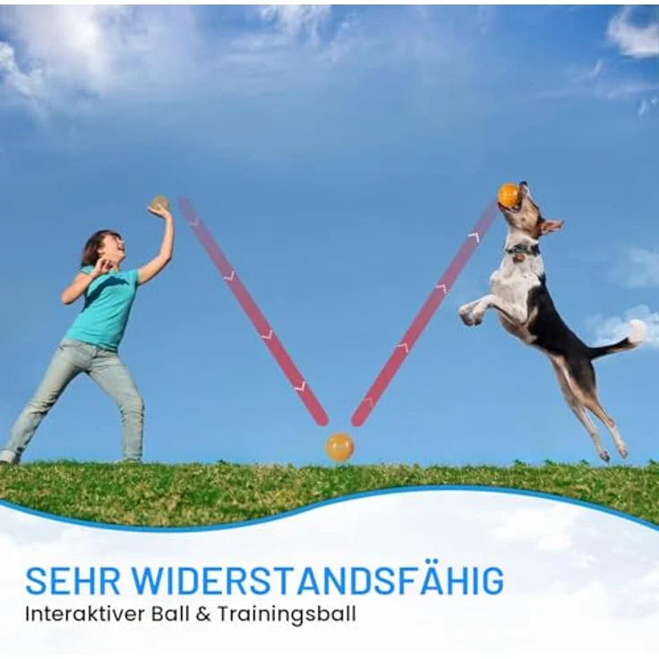 PETTOM Hundeball Quietschend 3er Set, Unzerstörbare Spielbälle für Große und Kleine Hunde, Schwimmfähig in Orange, Blau, Grün, Durchmesser 7,5cm – Bild 4