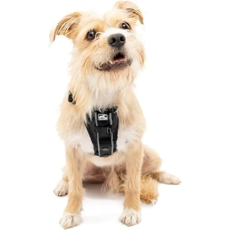 Kurgo TRU-Fit Intelligentes Hundegeschirr, Verstellbares Geschirr mit Sicherheitsgurt-Schlaufe und reflektierender Tierbekleidung, Schwarz, Klein
