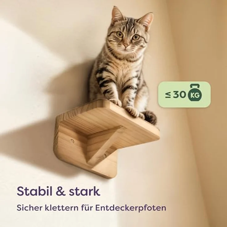 Niboline Knupis Kletterwand Katzen Set, 3er Katzentreppe aus FSC® Kiefernholz, stabil bis 30 kg, beige – Bild 5