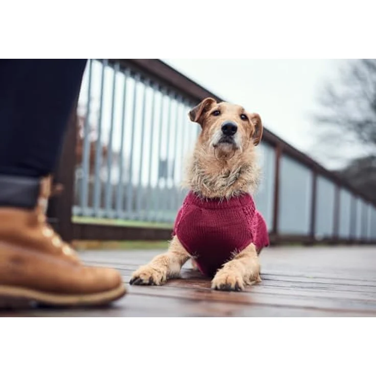 Hunter Hunde-Pullover Malmö bordeaux 45 cm – Bild 9
