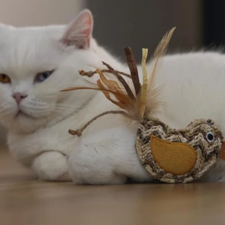 Beeztees Catnip Vogel Flity, Katzenspielzeug aus braunem Plüsch mit Katzenminze und beweglichem Schwanz – Bild 4