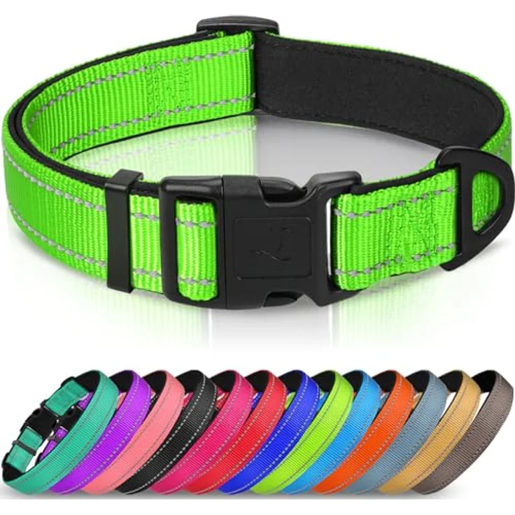 Joytale Halsband Hund, Gepolstertes Neopren Nylon Halsband, Verstellbar und Reflektierend für Kleine Hunde, S, Grün – Bild 1