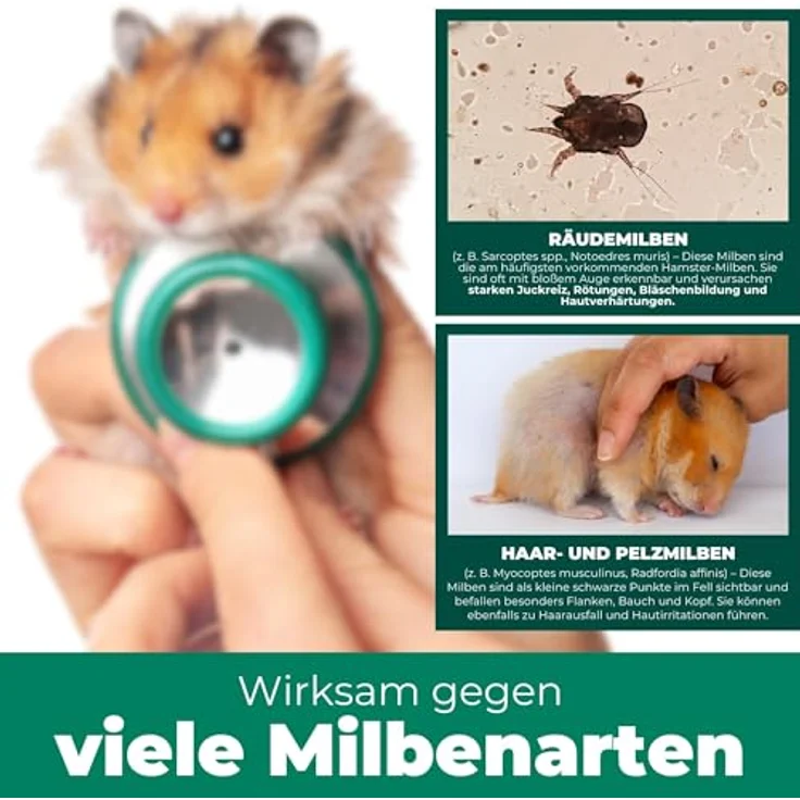 Silberkraft Milbenspray Hamster 2L Kanister - Effektives Anti-Milben Spray für Hamster, Rennmäuse und Degus, sanfte Hilfe für kleine Nager – Bild 4