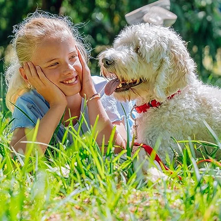 Nobby Halsband Soft Grip, rot, stufenlos verstellbar mit weichem Griff, L: 30/45 cm, B: 20 mm – Bild 3