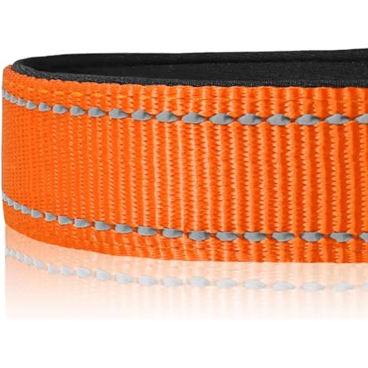 Joytale Hundehalsband M, Gepolstert aus Neopren Nylon, Verstellbar, Reflektierend, Orange – Bild 4