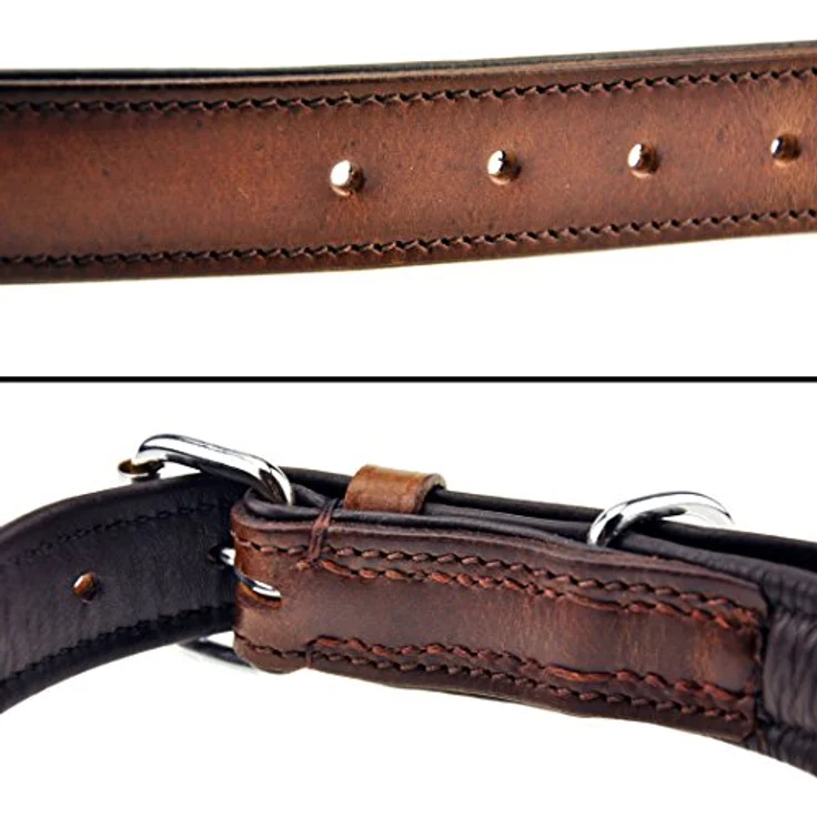 Schnüffelfreunde Halsband aus Leder, gepolstert und robust, für große, mittlere und kleine Hunde, XXL 55-65cm, braun – Bild 3