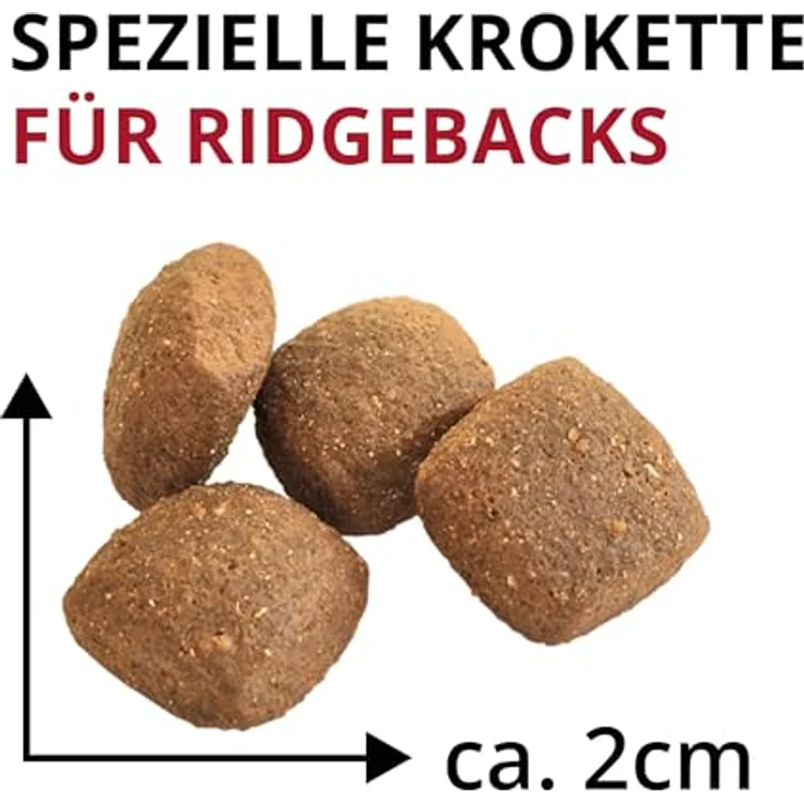 Wildsterne Breed Selection Rhodesian Ridgeback, 10 kg | Getreidefreies Trockenfutter mit Monoprotein aus Rind | Von Tierärzten entwickelt, für Muskulatur und Gelenkgesundheit – Bild 4