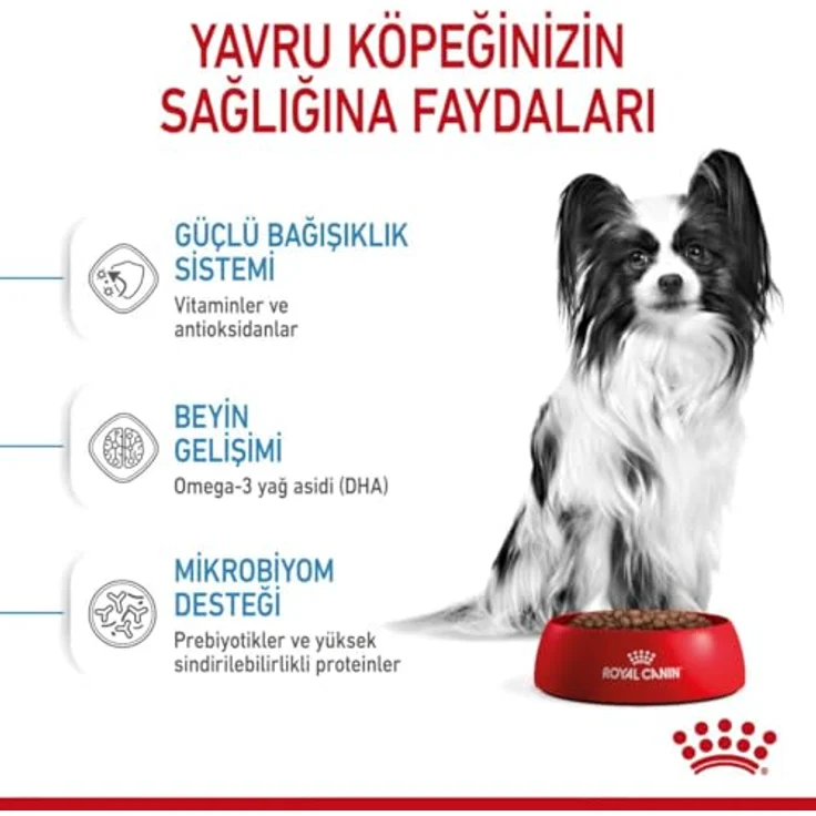Royal Canin Hundefutter X-Small Puppy, Vollnahrung für Welpen kleiner Rassen bis 4 kg, 3 kg Packung – Bild 6