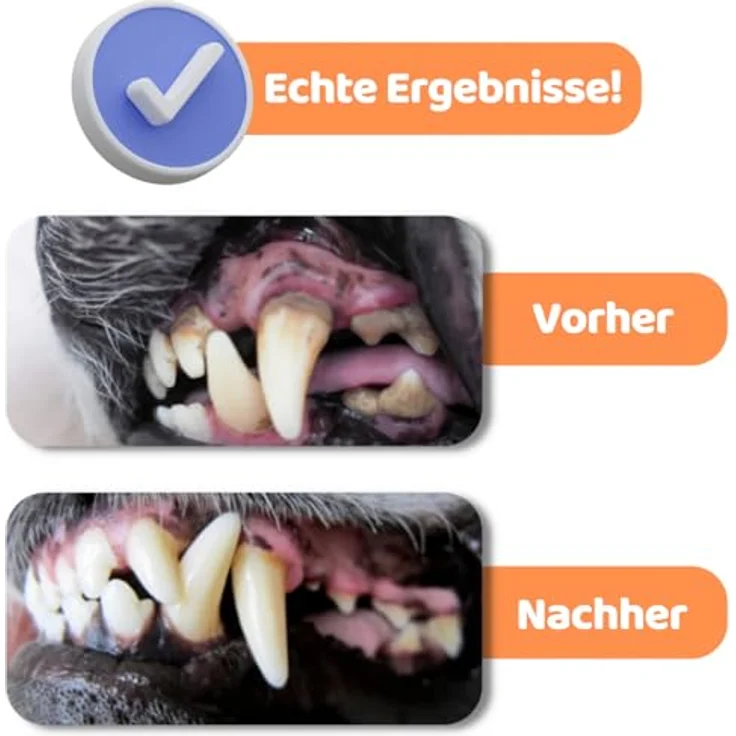 DogsLife Hundezahnbürste Set, dreiköpfige Zahnbürste mit 100% natürlicher Zahnpasta gegen Zahnstein und Zahnbelag, für frischen Atem, geeignet für alle Rassen – Bild 4