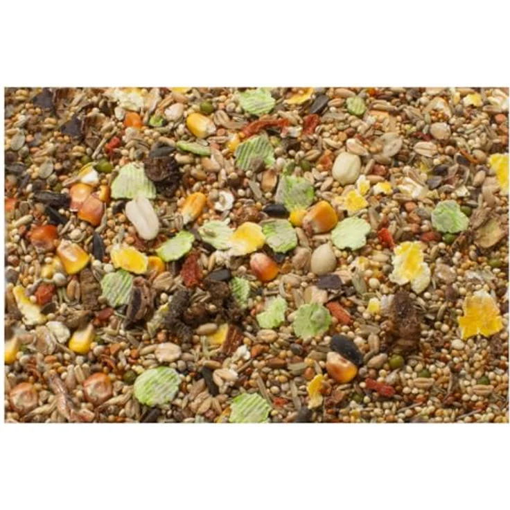 JR FARM Rennmäuse-Schmaus 600 g, natürliche Alleinfuttermischung mit wilden Saaten und Heilkräutern, Made in Germany – Bild 2