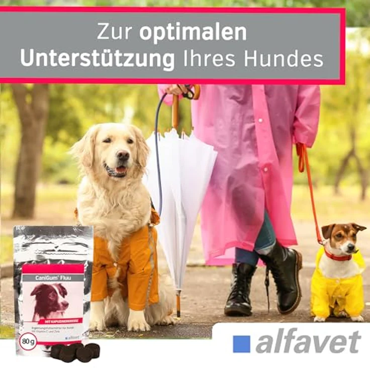 Alfavet CaniGum Fluu, Ergänzungsfuttermittel für Hunde zur Unterstützung der Abwehrkräfte, mit Kapuzinerkresse, Vitamin C, Zink und B-Vitaminen, 80g Beutel (ca. 40 Kaudrops) – Bild 4