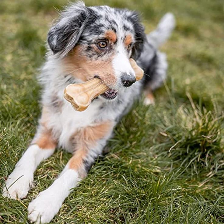 Nobby Kauknochen gepresst für Hunde, 21,5 cm, 2er Pack aus Rinderhaut, 170 g – Bild 4