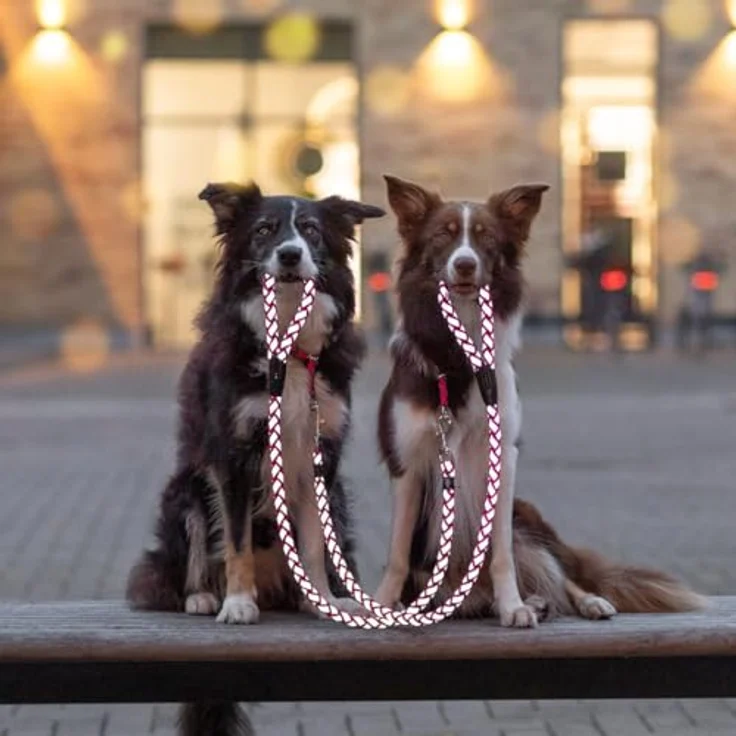 TRIXIE Hundeleine Leine Cavo rot, strapazierfähig und sicher – Bild 5