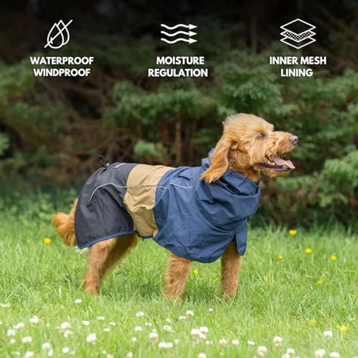Spark Paws Hunderegenmantel, wasserdicht und winddicht, reflektierender Trockenanzug für Hunde, Ganzkörperabdeckung, Blau/Gold/Schwarz – 2XL – Bild 3