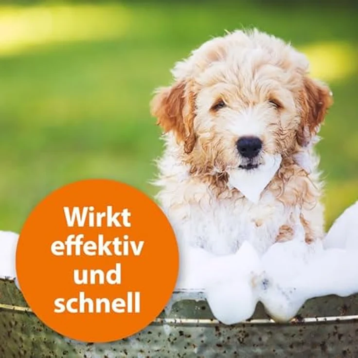 ARDAP Anti Floh Shampoo für Hunde 250ml, 2-in-1 Flohschutz & Fellpflege mit Teebaum Öl, nachhaltige Anwendung, PT19 – Bild 3