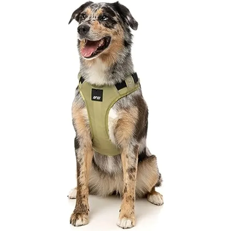 FuzzYard LIFE Hunde-Geschirr Active Go - Nylon Brustgeschirr, Sicherheitssteckverschluss, reflektierende Details, Schwarz