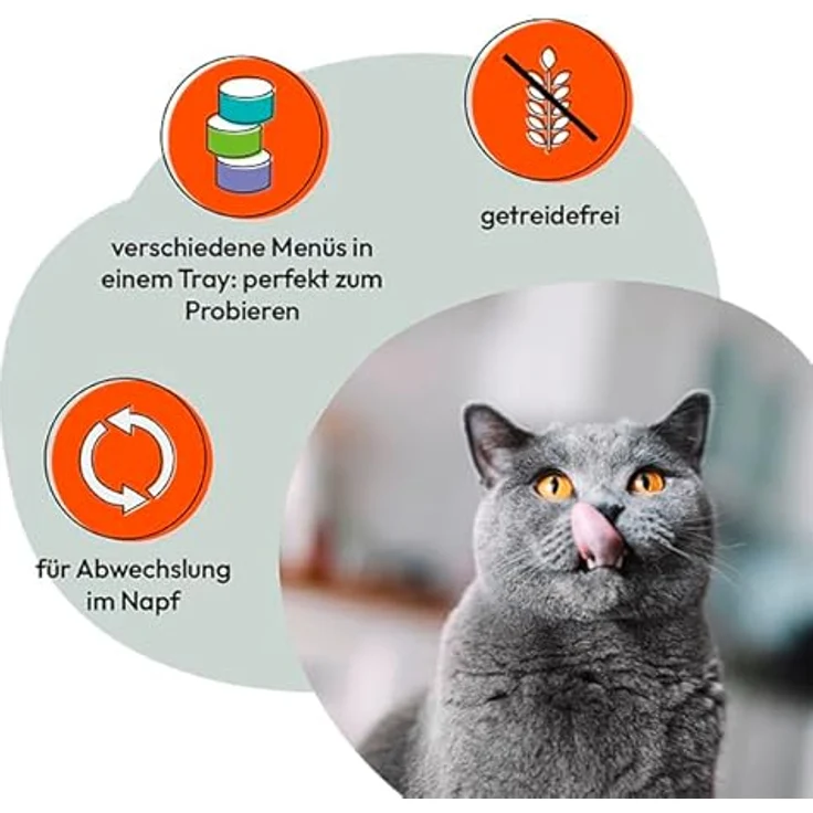Grau – das Original – Nassfutter für Katzen – Mischtray Generation Pet, getreidefrei, 6er Pack (6 x 200 g) – Bild 4